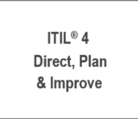 Curso Certificación ITIL 4 Direct Plan and Improve 